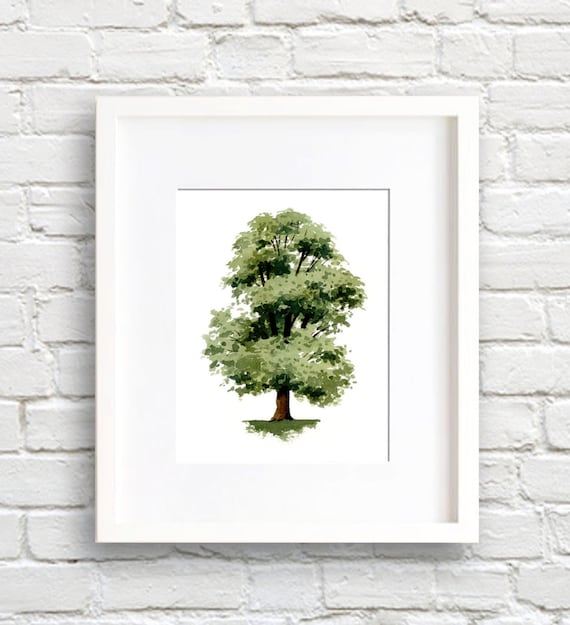 Elm Tree Watercolor Art Print, Nature Wall Decor