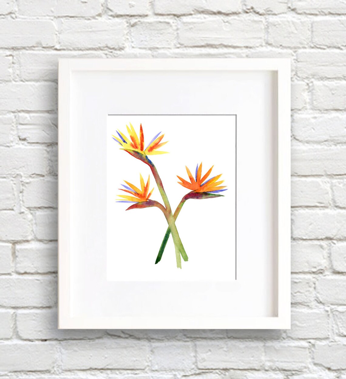 Bird of Paradise Trio Watercolor Tropical Exotic Flower Poster