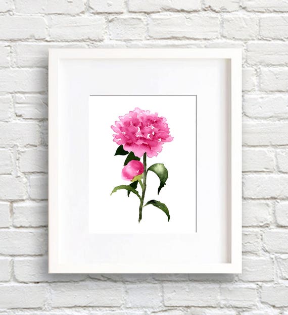 Peony Flower Peonies Floral Watercolor Art Print