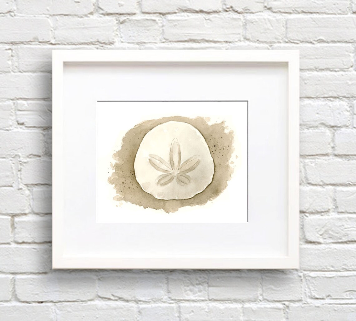 Sand Dollar Watercolor Painting Wall Art Print