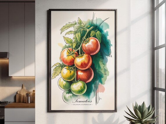 Tomato Botanical Watercolor Print Vine Ripened Red Tomatoes Kitchen Art