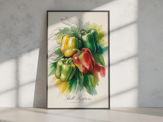 Bell Peppers Botanical Watercolor Print Capsicum Kitchen Wall Decor