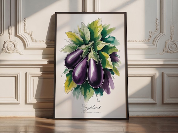 Eggplant Solanum Melongena Botanical Watercolor Kitchen Wall Print