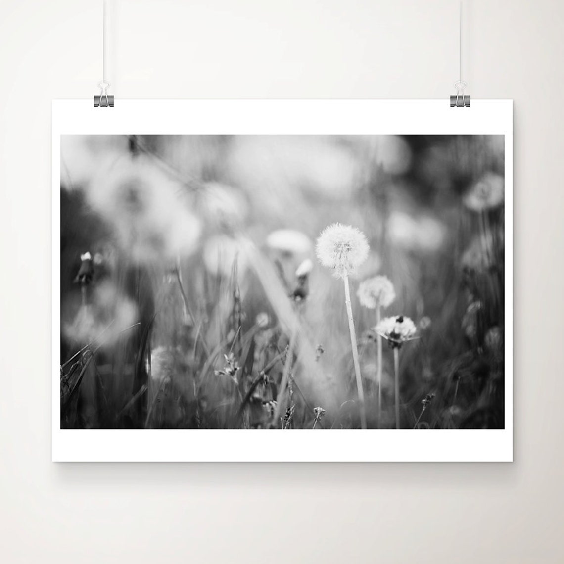 Black And White Dandelion Seed Head Macro Nature Photography Poster