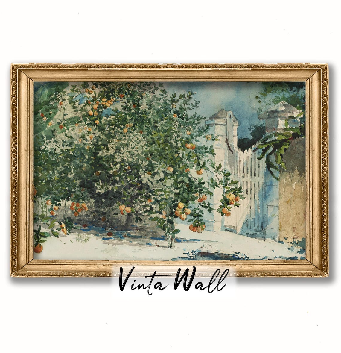 Orange Tree Heavy with Fruit by White Garden Gate Watercolor Poster - Image 2