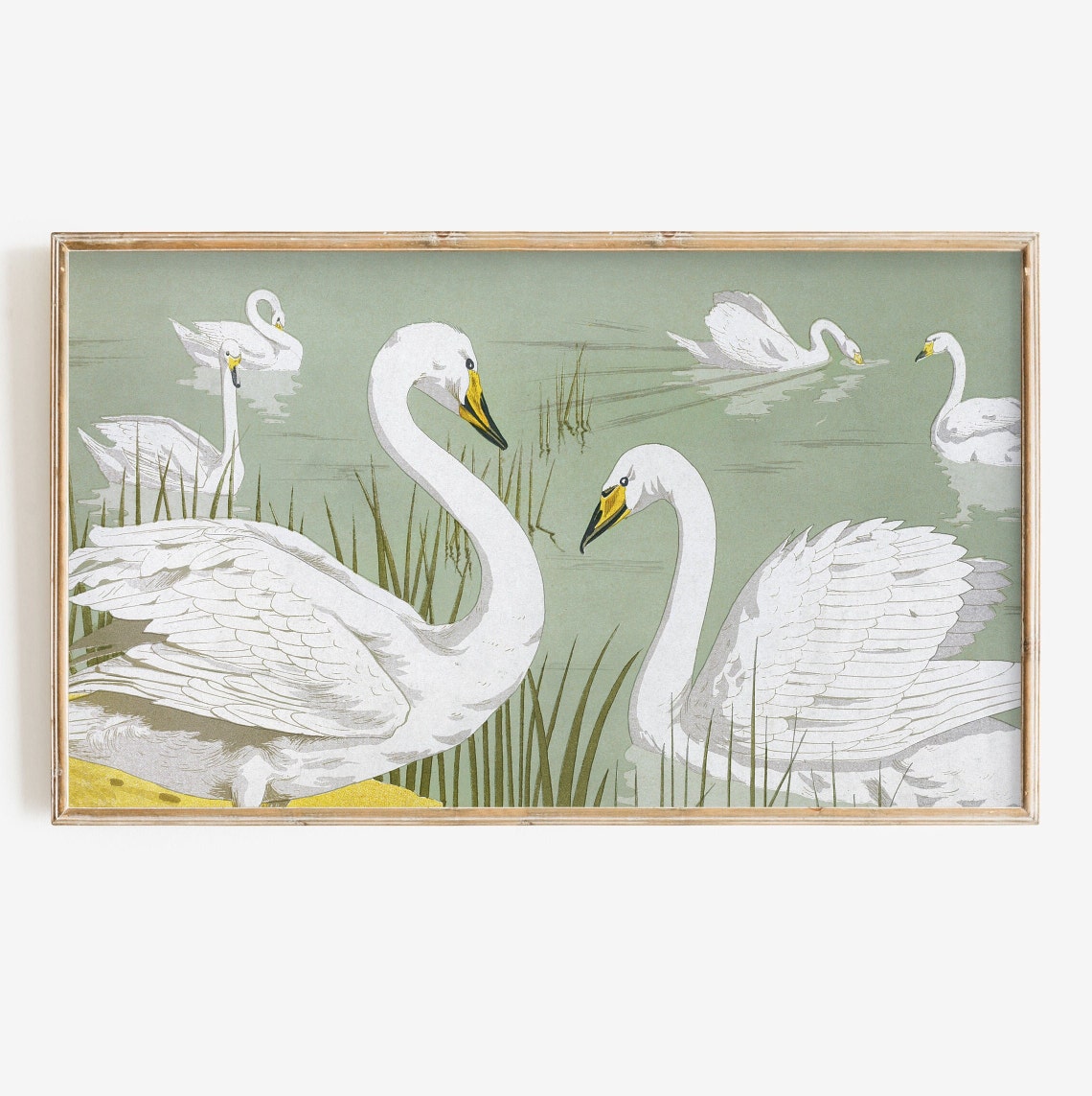 Vintage White Swan Illustration Reeds Sage Green Lake Art Poster