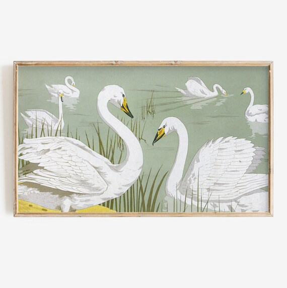 Vintage White Swan Illustration Reeds Sage Green Lake Art Poster