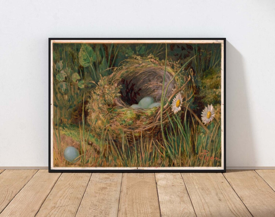 Vintage Bird Nest Art Print, Antique Bird Nest