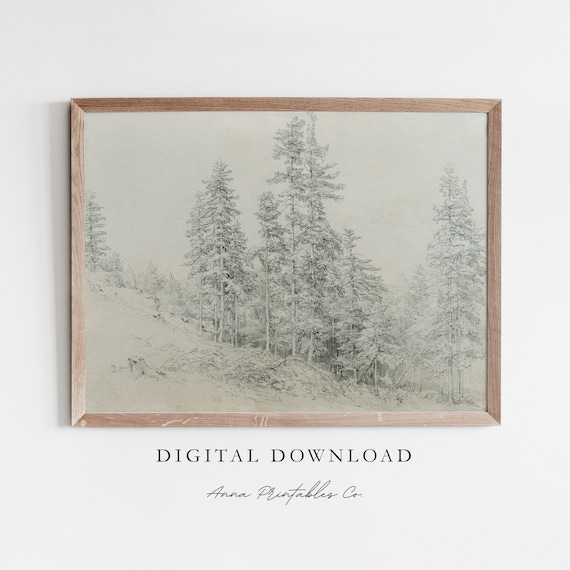 Fir Trees On A Hill Antique Sketch Art Print