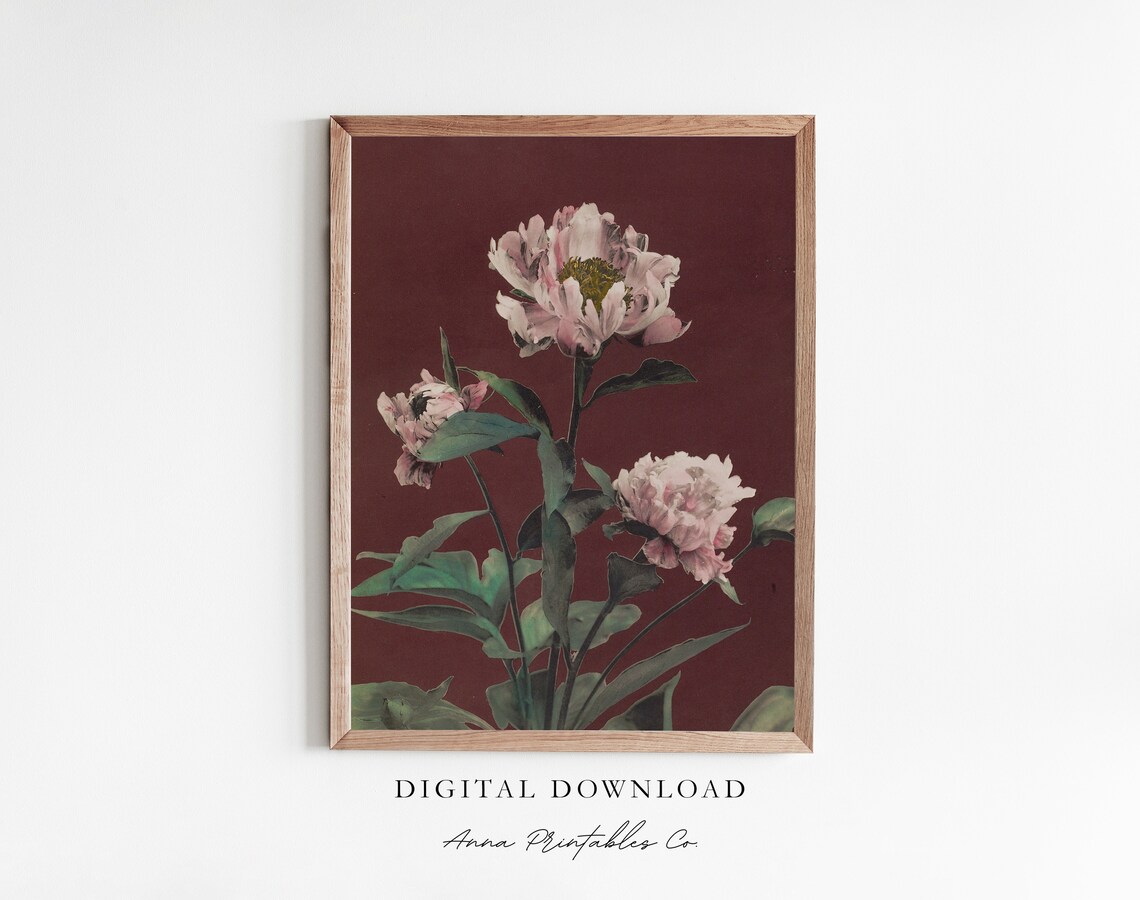 Blush Peonies on Burgundy Vintage Floral Painting Decor Poster