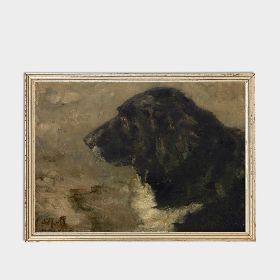 Black Spaniel Dog in Profile Moody Vintage Pet Portrait Poster - Image 3