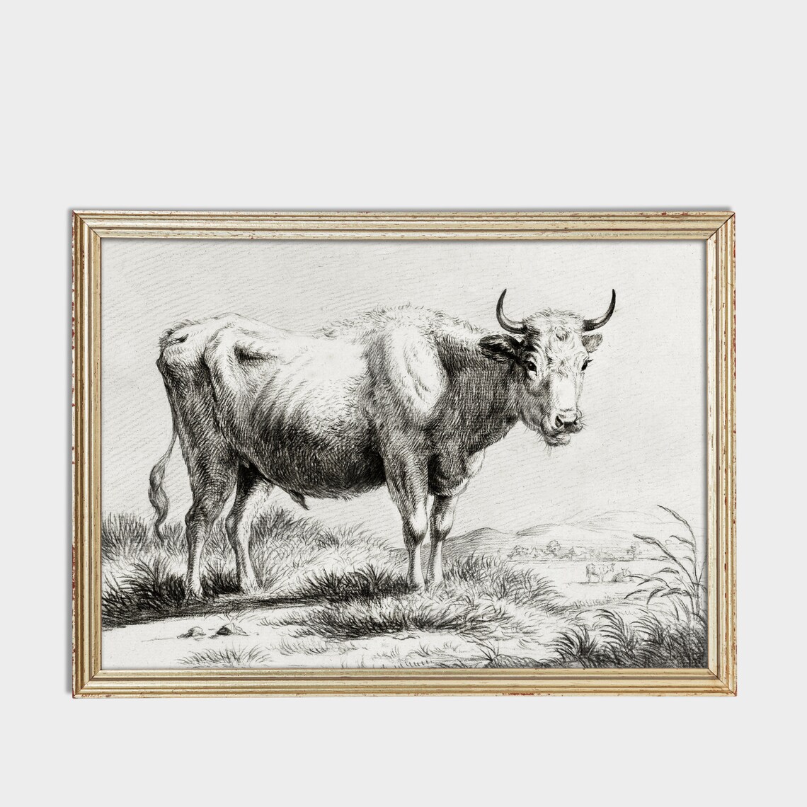 Grazing Bull in a Meadow Antique Black and White Engraving Poster - Image 2