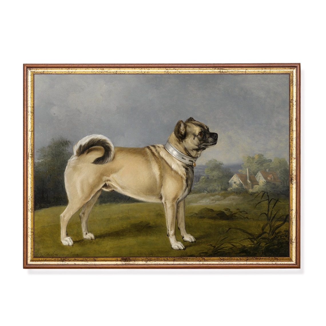 Fawn Pug Standing in Profile Vintage Dog Portrait Oil Painting Poster