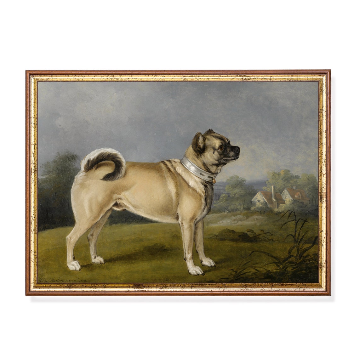 Standing Fawn Pug Dog in Countryside Antique Portrait Poster
