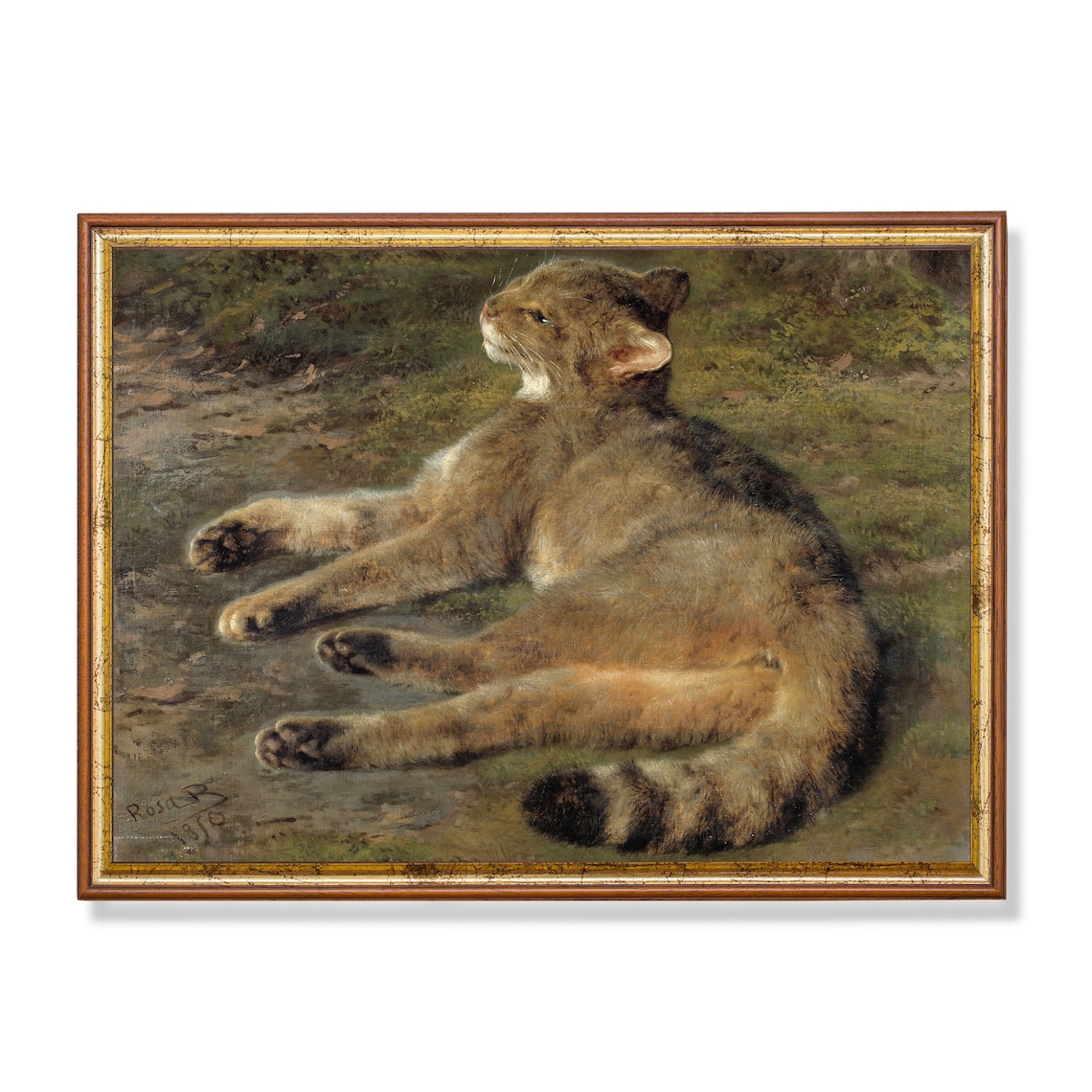Tabby Cat Resting Outdoors Animal Study Painting by Rosa Bonheur Poster