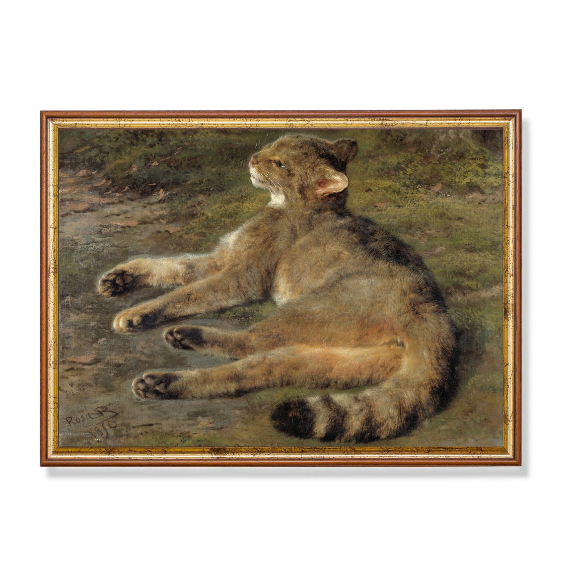 Vintage Cat Painting Antique Animal Print Farmhouse Decor Moody Rustic Art Wall Art Fine Art Print