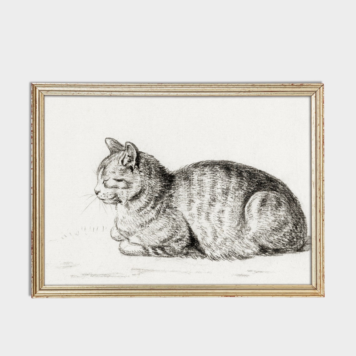 Vintage Charcoal Sketch of a Sleeping Tabby Cat in a Loaf Pose Poster - Image 4