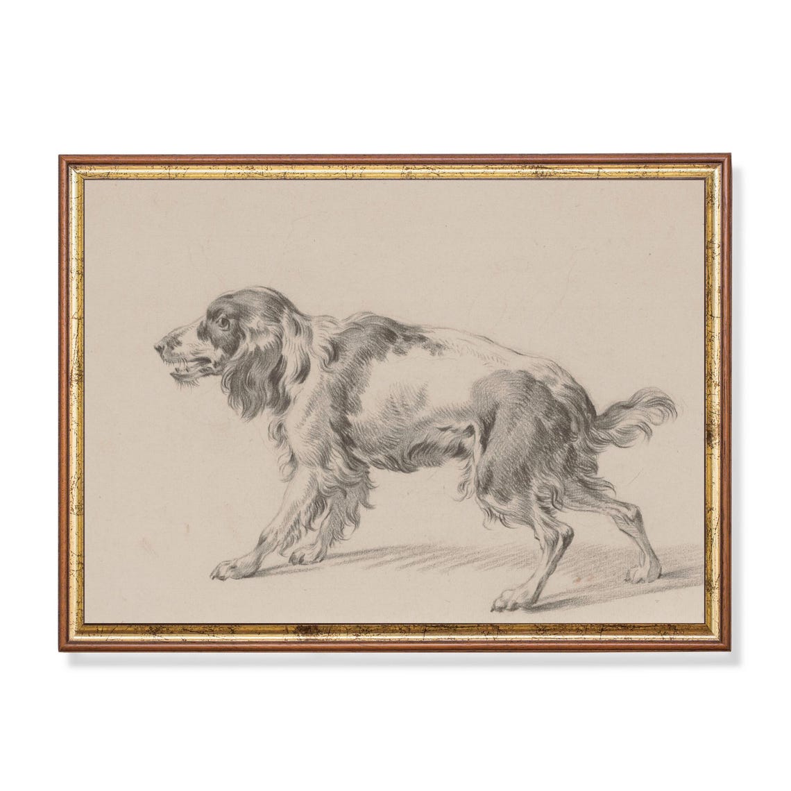 Walking Spaniel Dog in Profile Vintage Graphite Sketch Poster