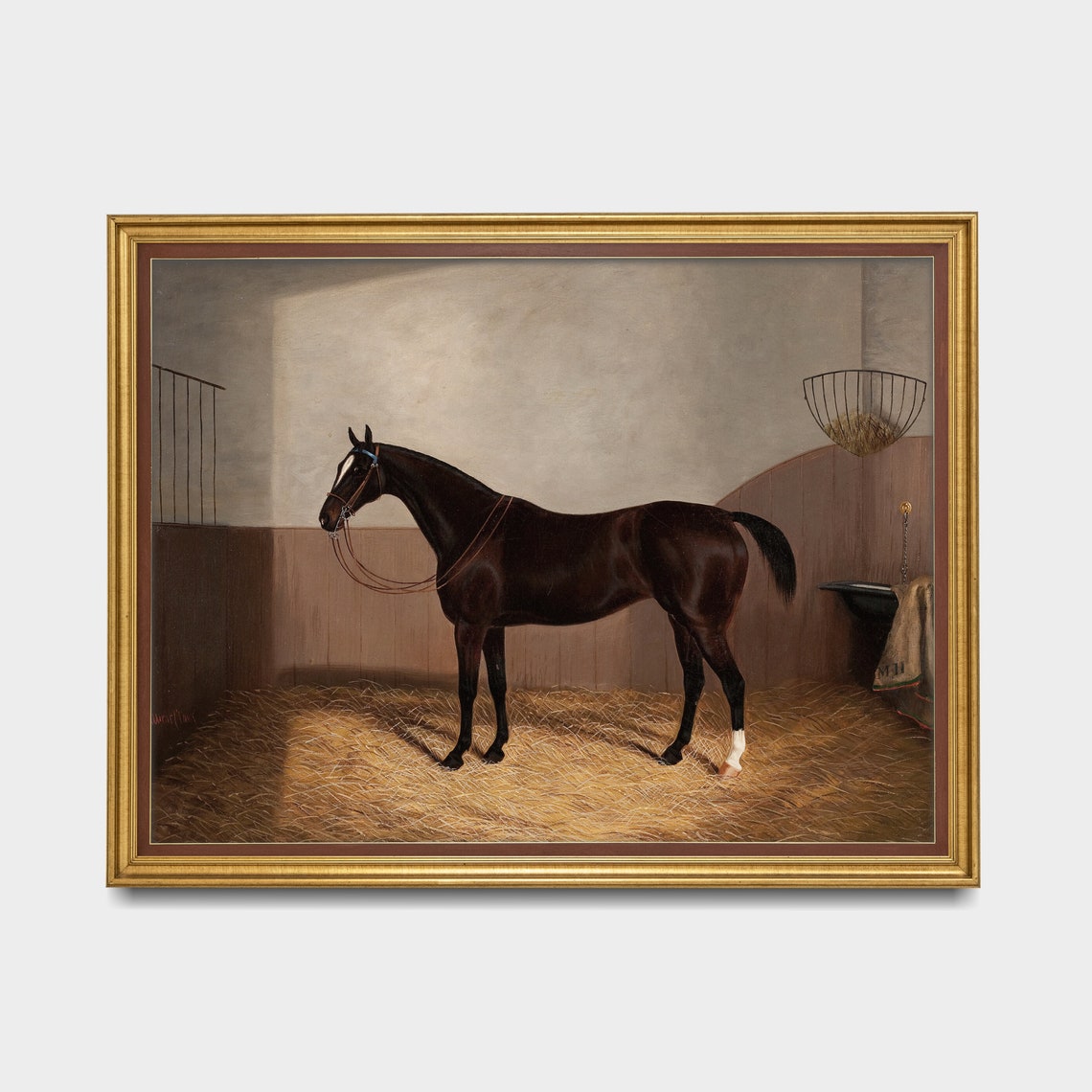 Dark Bay Horse Resting in a Straw-Filled Stable Box Painting Poster - Image 3