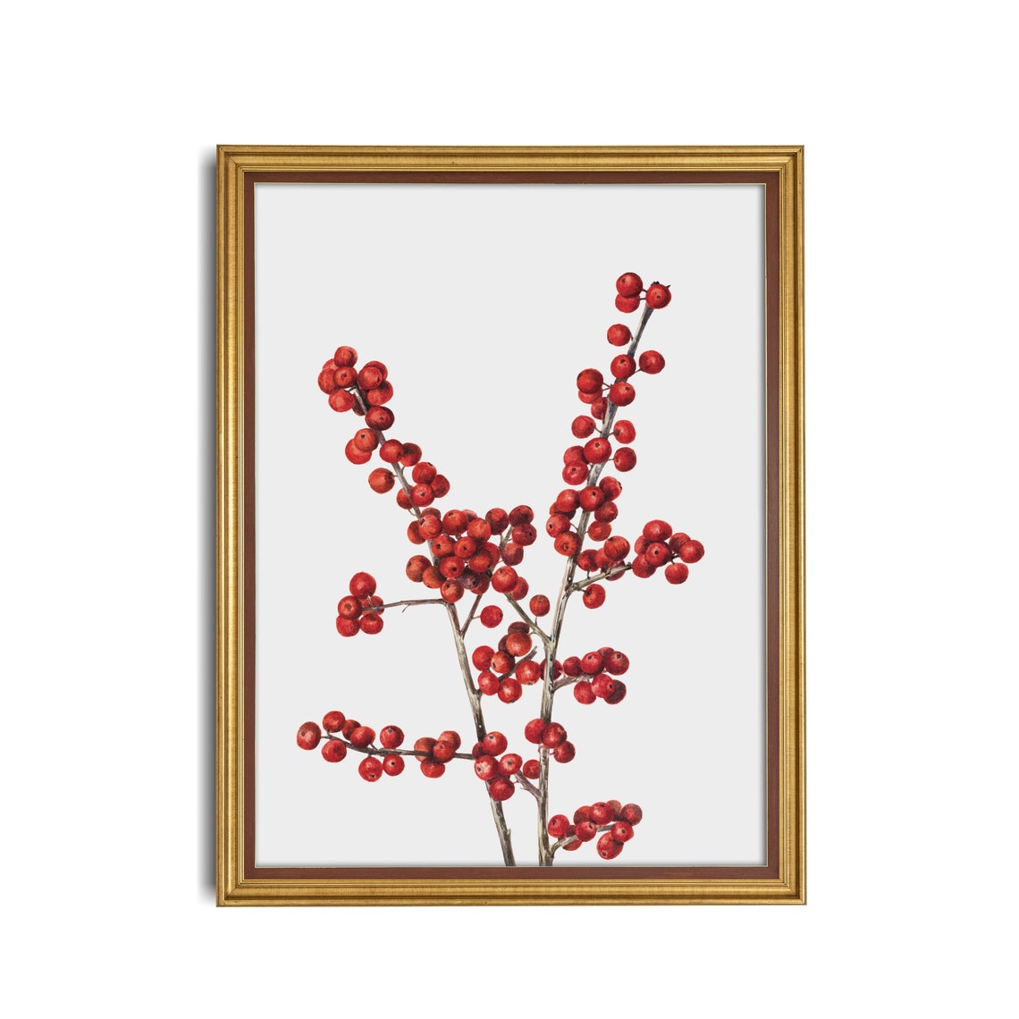 Bright Red Winterberry Branches Against a Crisp White Wall Art - Image 3