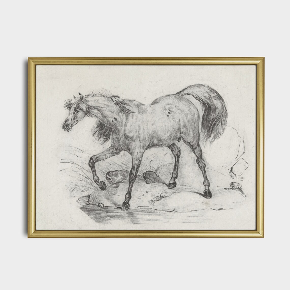 Vintage Horse Sketch Art of an Arabian Horse by the Water Poster - Image 4