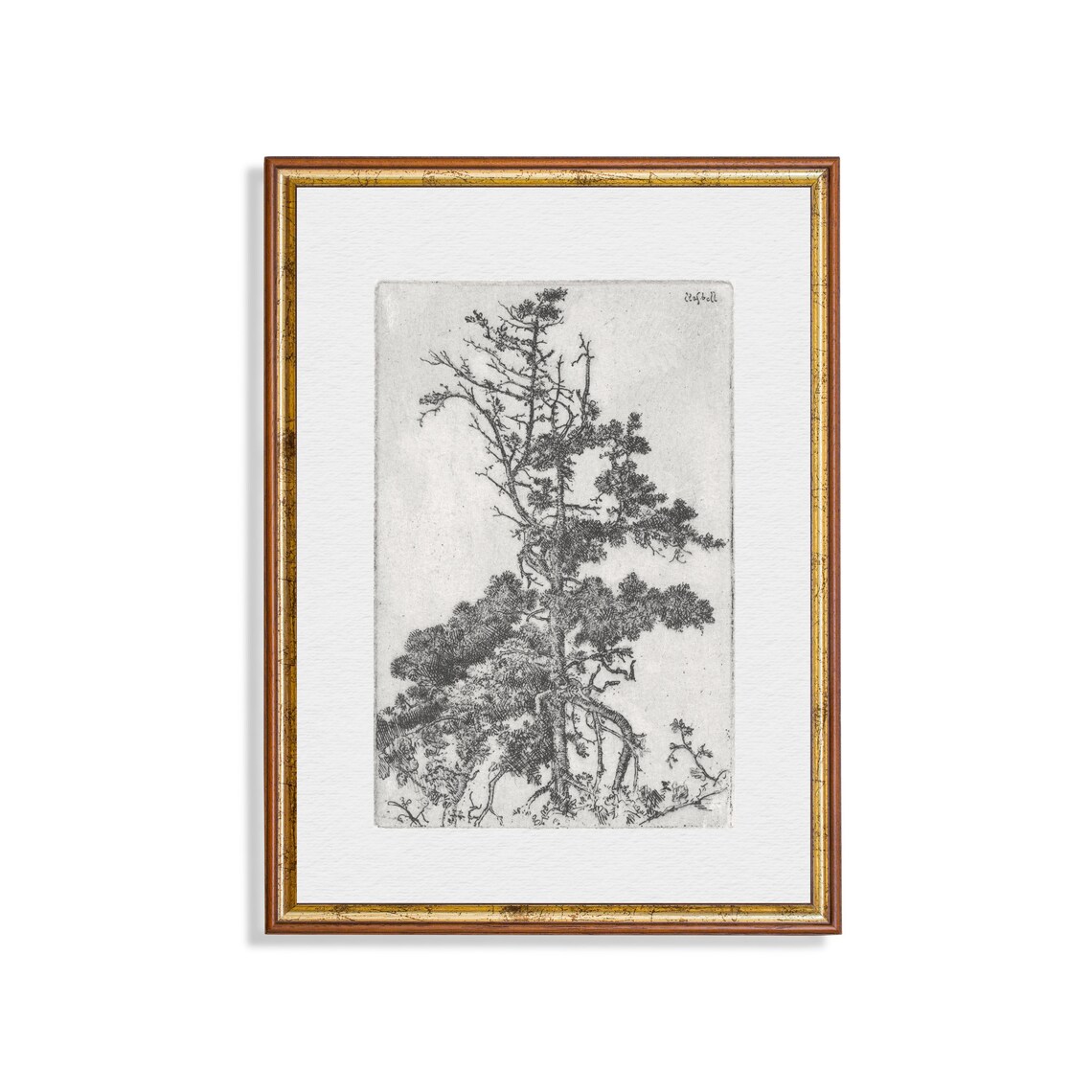 Vintage Tree Etching, Rustic Nature Art Print