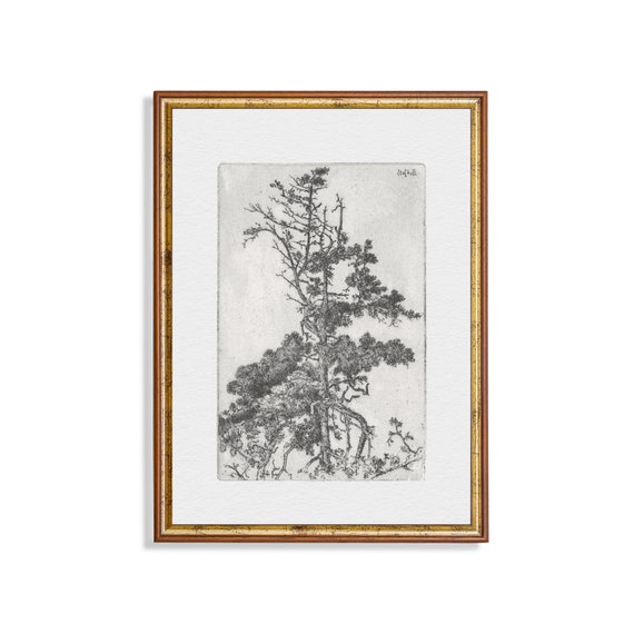 Vintage Tree Etching, Rustic Nature Art Print