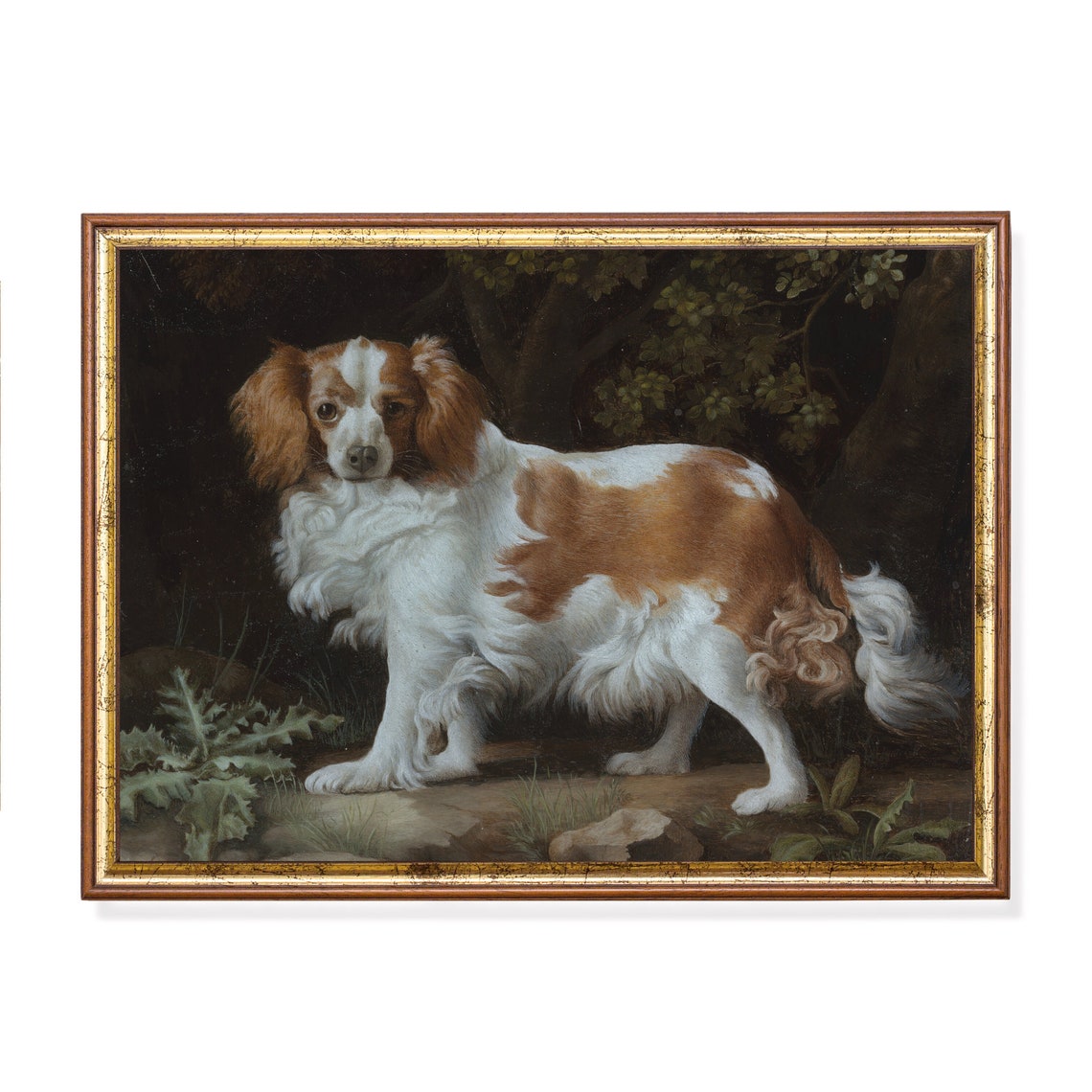 Vintage Spaniel Dog Portrait in a Dark Woodland Setting Poster