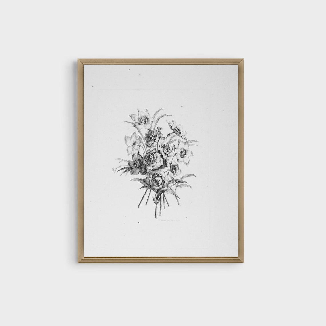 Daffodil Bouquet Pencil Sketch Monochrome Vintage Botanical Poster