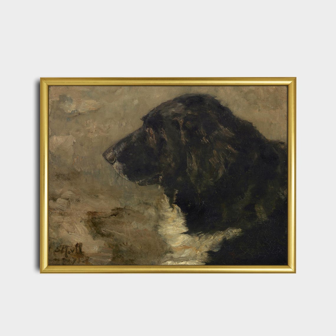 Black Spaniel Dog in Profile Moody Vintage Pet Portrait Poster - Image 2