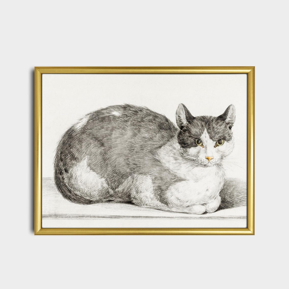 Detailed Pencil Sketch Grey White Cat Lying Down Feline Art Poster - Image 2