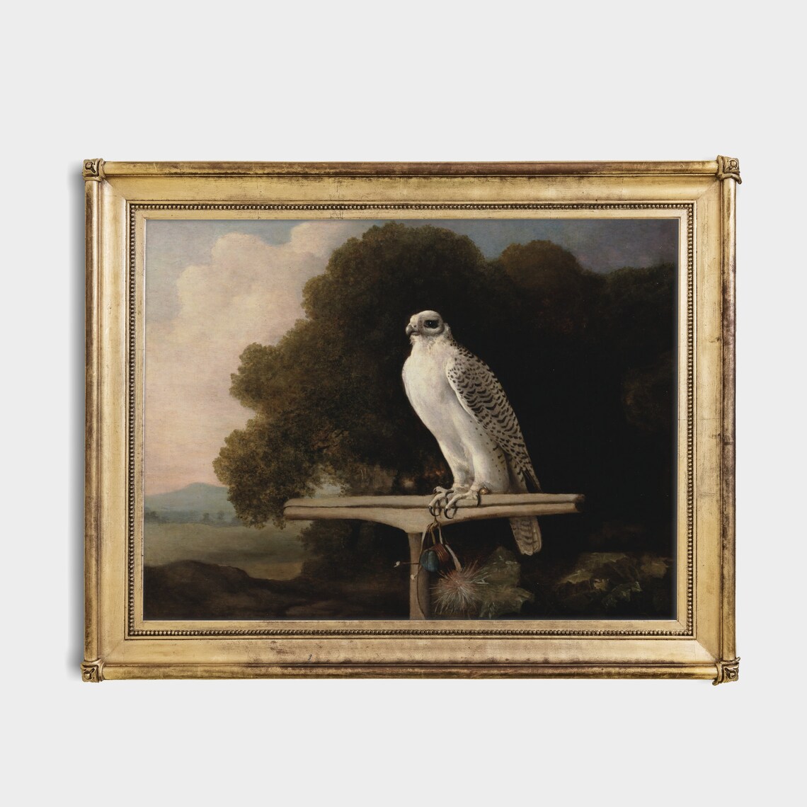 Vintage Falcon Art Print, Rustic Farmhouse Decor - Image 4