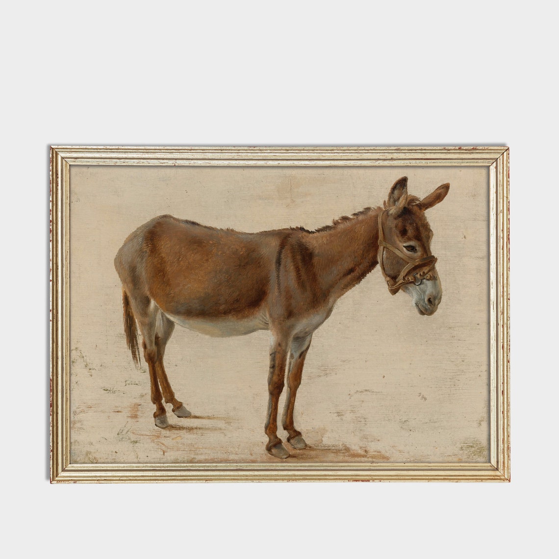 Standing Donkey with Bridle Vintage Antique Farm Animal Study Poster - Image 3