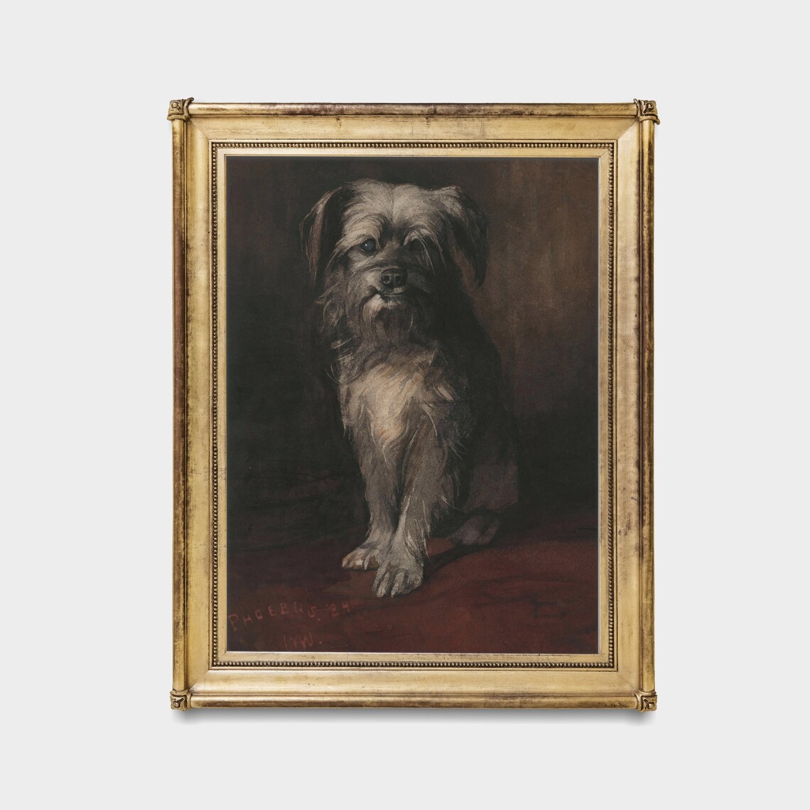 Shaggy Terrier Dog Portrait Antique 1890 Animal Oil Painting Poster - Image 4