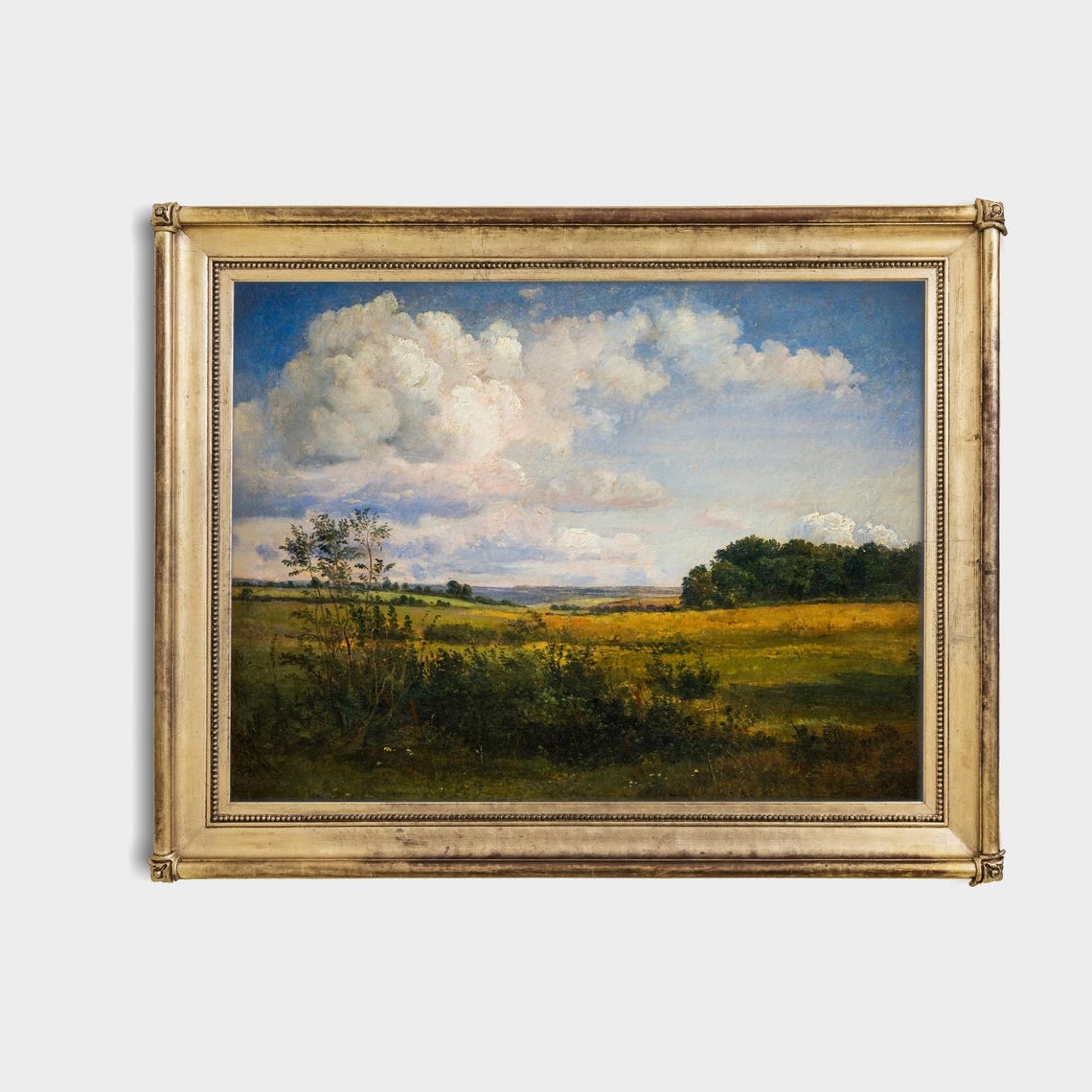 Sunlit Summer Meadows Under Towering Clouds Landscape Poster - Image 4