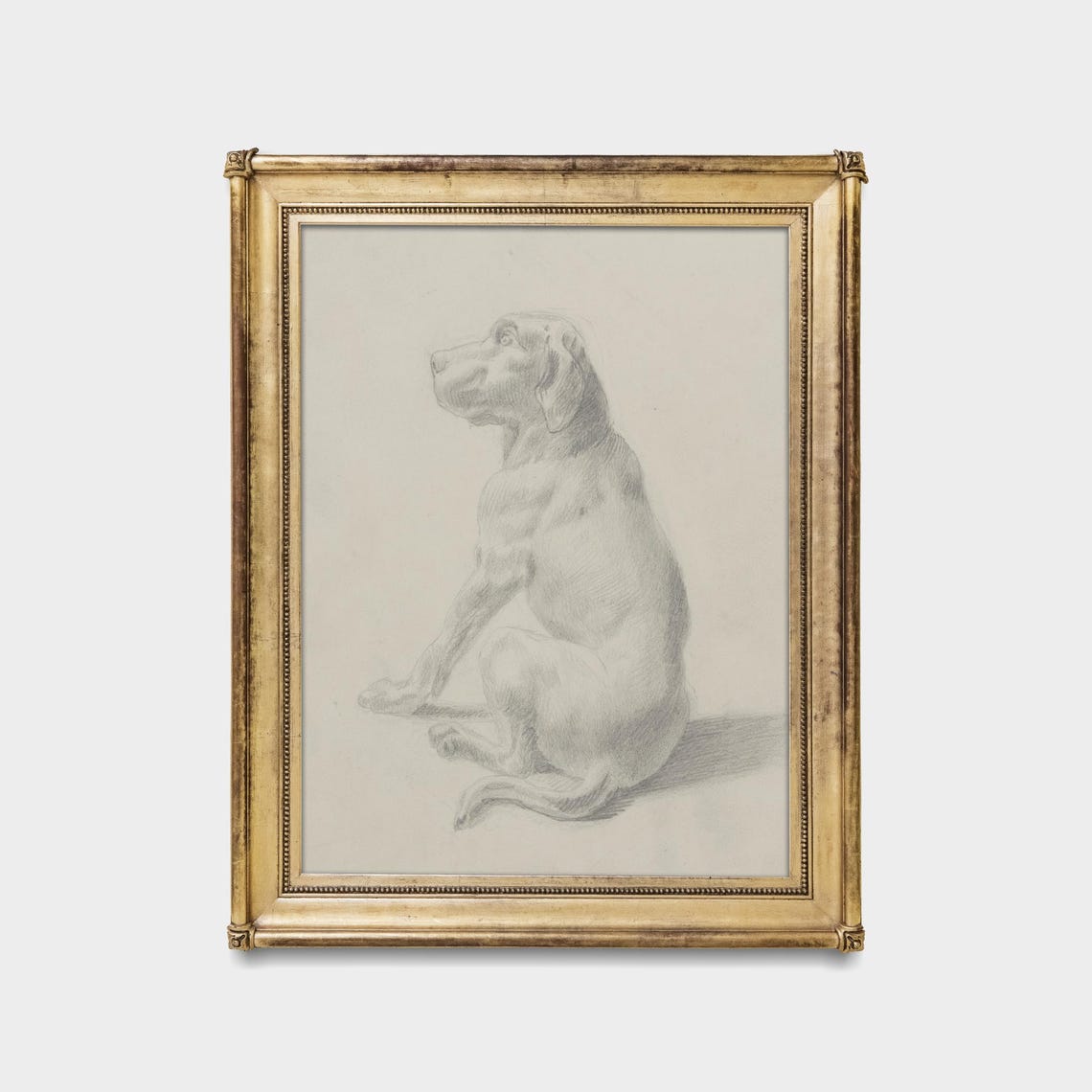 Antique Pencil Sketch Seated Hound Dog Minimalist Animal Art Poster - Image 5