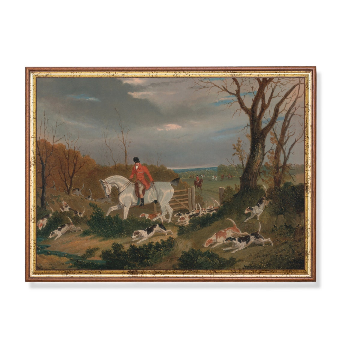 Vintage Fox Hunt Scene Huntsman on White Horse with Hounds Poster