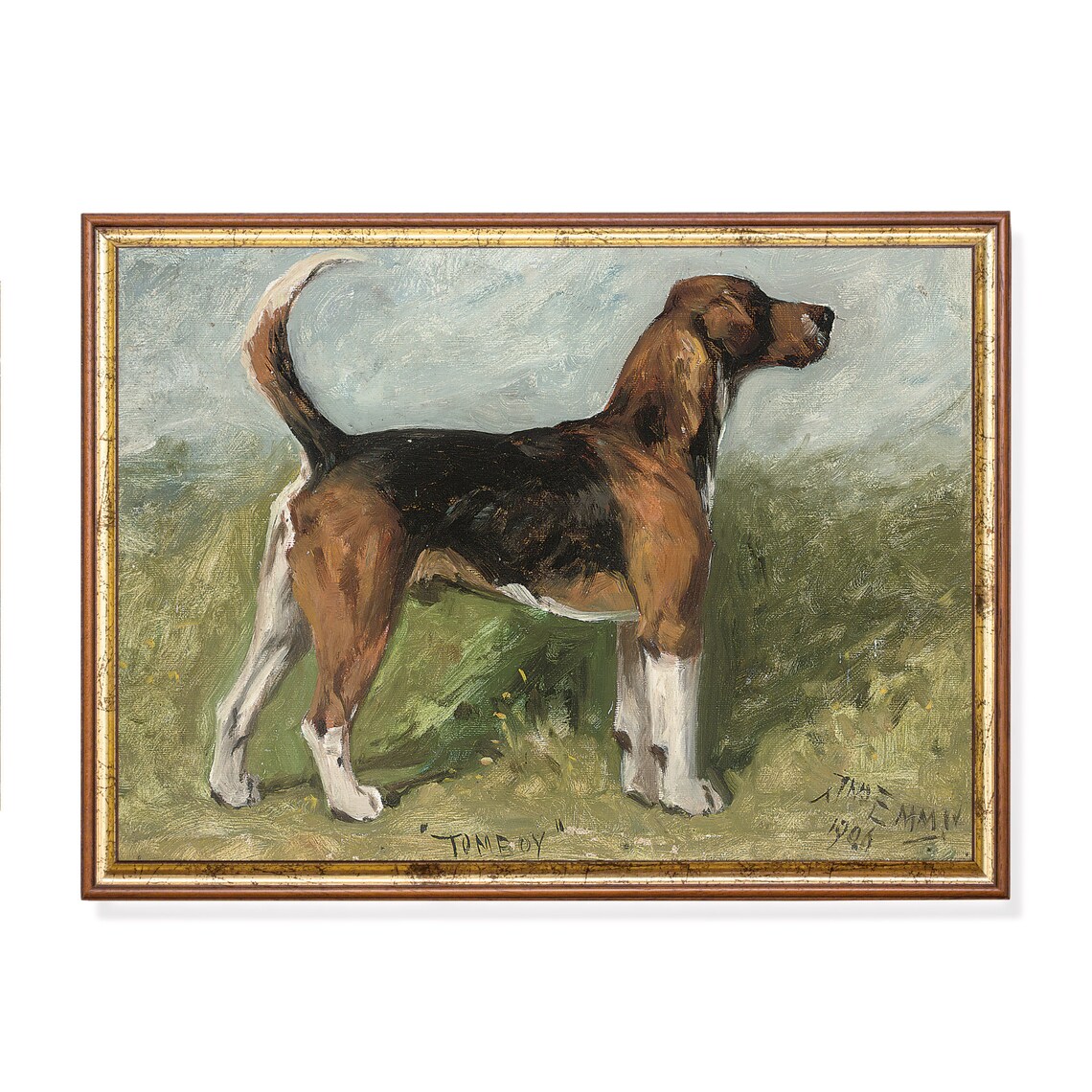 Tomboy the Foxhound Standing in a Field 1905 Vintage Dog Poster