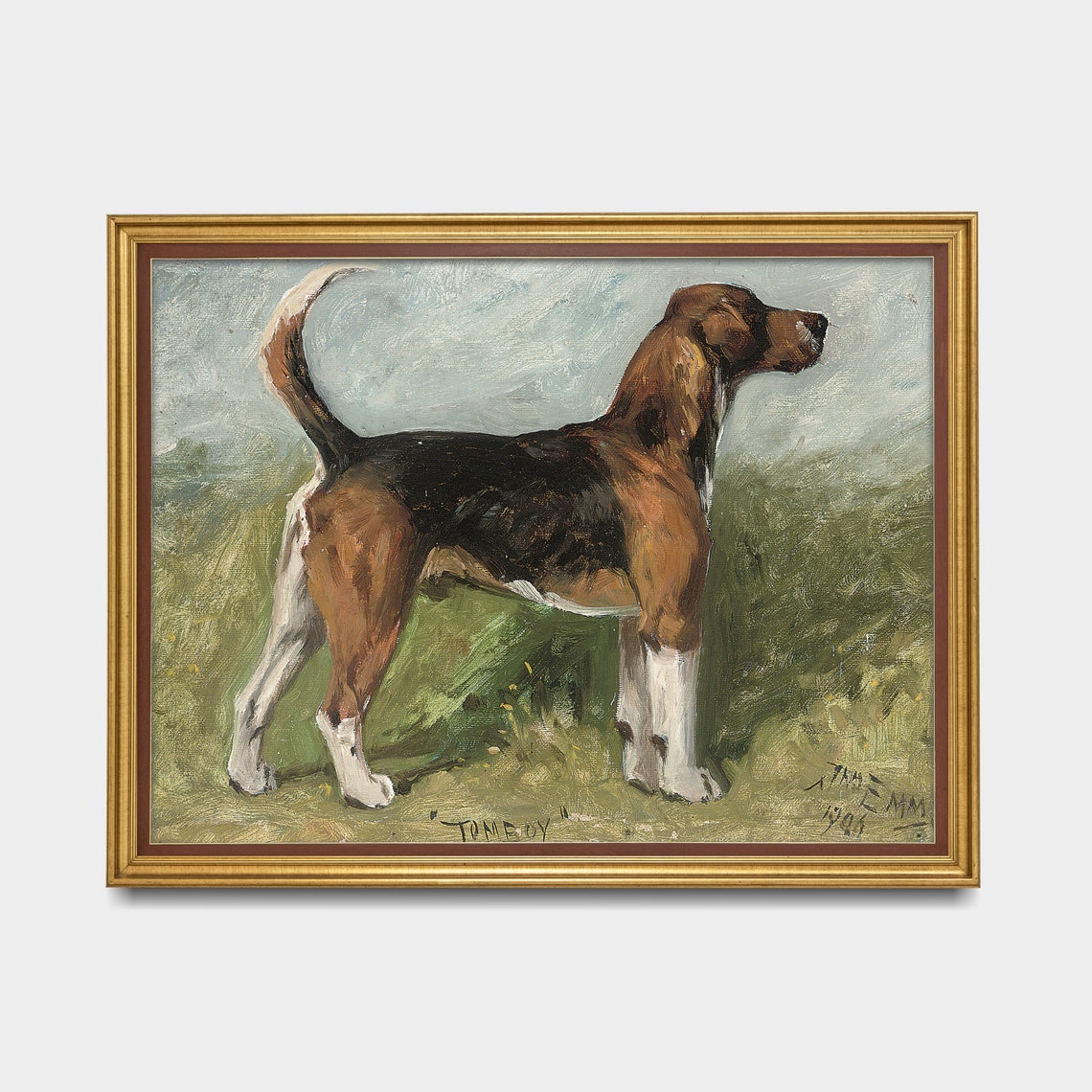 Tomboy the Foxhound Standing in a Field 1905 Vintage Dog Poster - Image 3