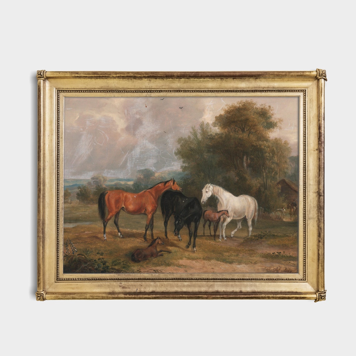 Bay Black and White Horses with Foals in Pasture Landscape Poster - Image 2