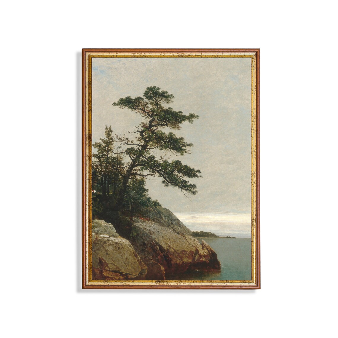Vintage Pine Trees Coastal Landscape Art Print