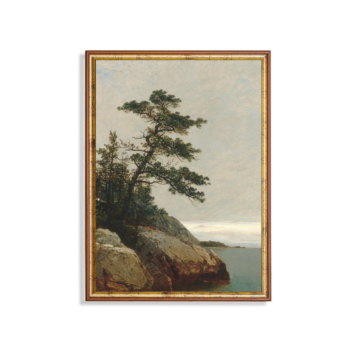 Windswept Pine Tree Above a Rocky Coastal Cliff Vintage Poster