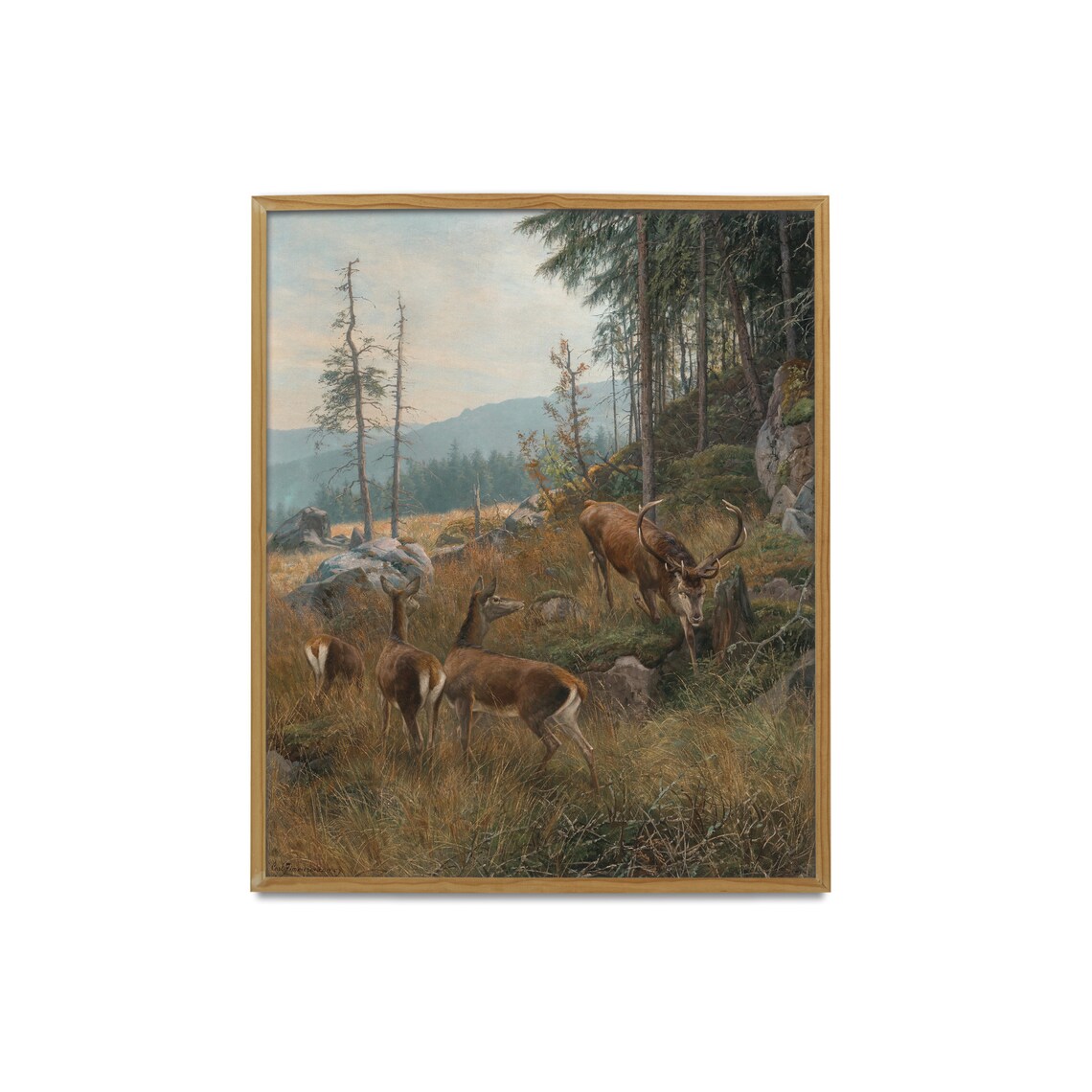 Red Deer Stag with Hinds in Mountain Forest Wildlife Painting Poster - Image 2