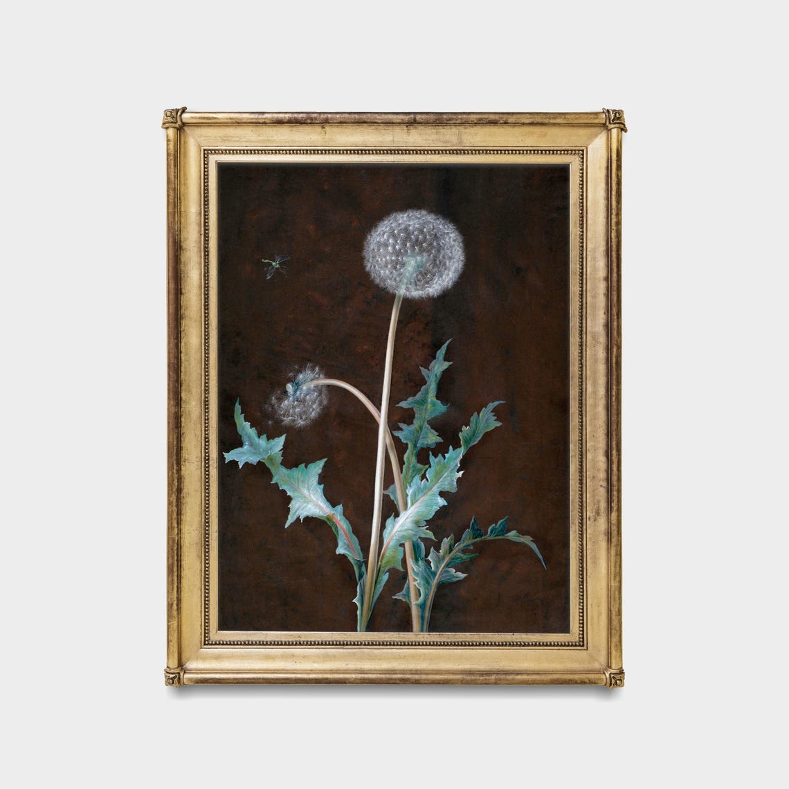 Wild Dandelion Seed Head Moody Botanical Dark Floral Wall Poster - Image 5