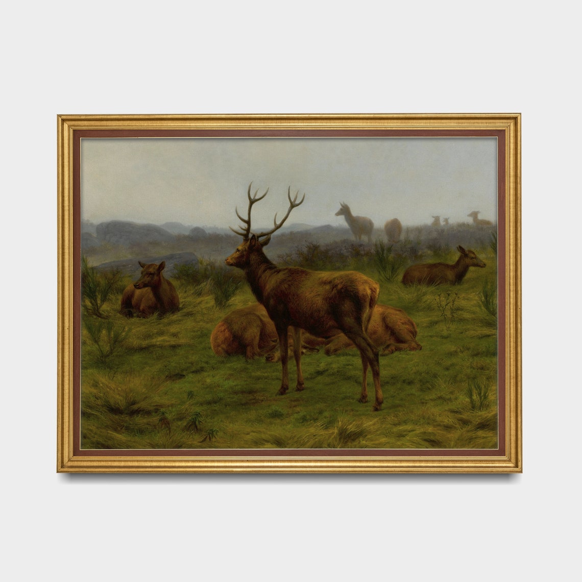 Red Deer Stag with Hinds in the Misty Highland Moorland Wall Art - Image 3
