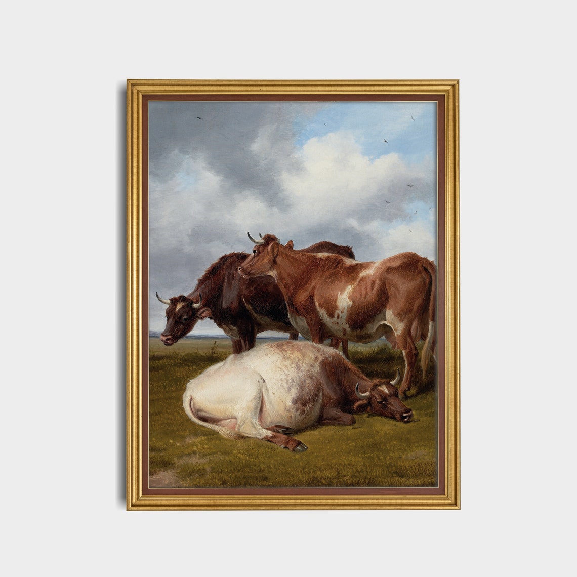 Three Brown And White Cattle Resting In The Field Under Clouds Poster - Image 4
