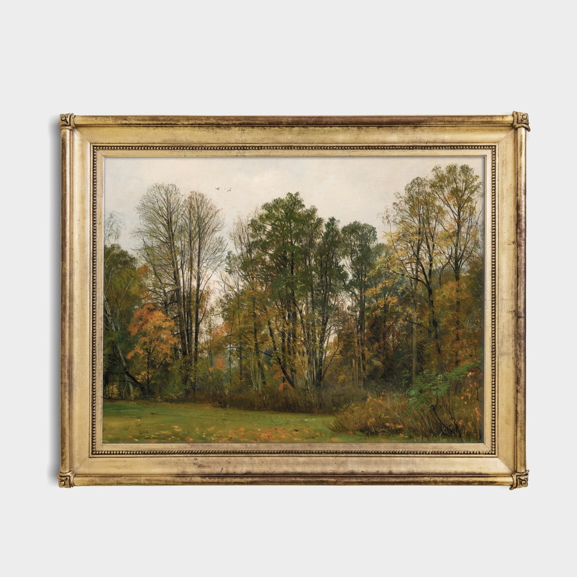 Autumn Woodland Edge with Gold-Tinged Trees Fall Landscape Poster - Image 2