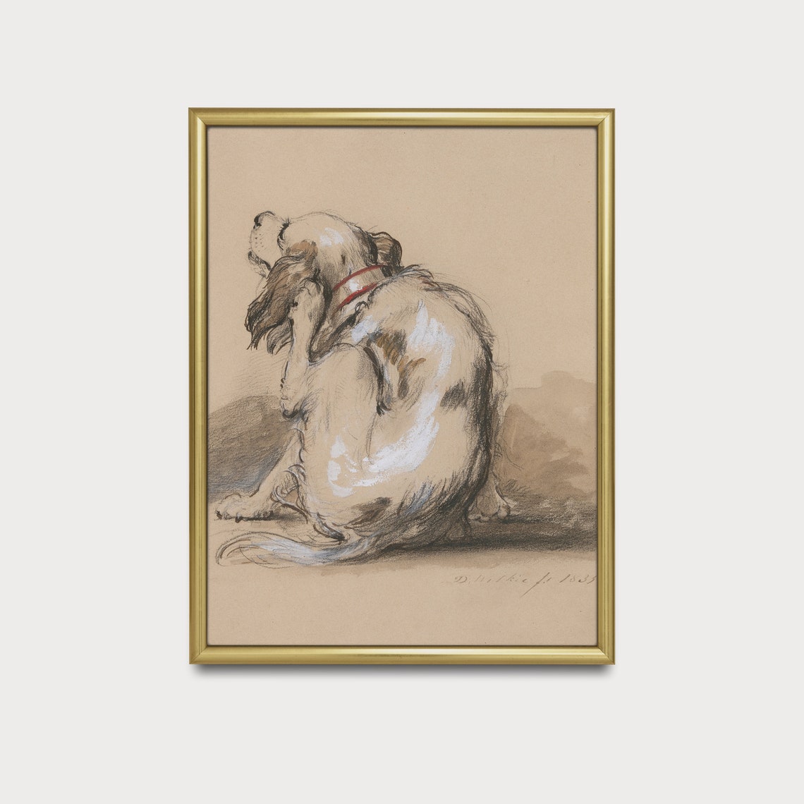 Spaniel Dog Scratching Ear Loose Sketch Study Vintage Poster - Image 3