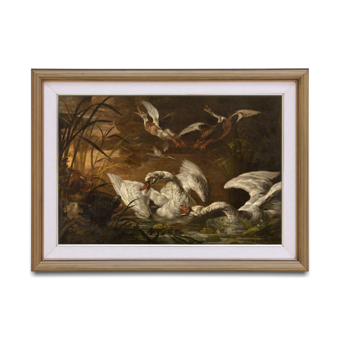 Swans Battling Dogs On Dark Water Dramatic Vintage Wildlife Poster - Image 3