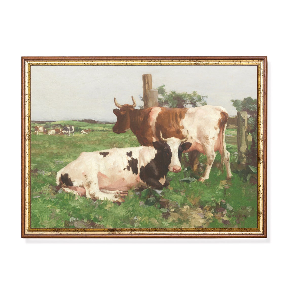 Two Cows Resting in a Sunlit Pasture Vintage Farm Animal Poster